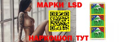mdpv Краснознаменск