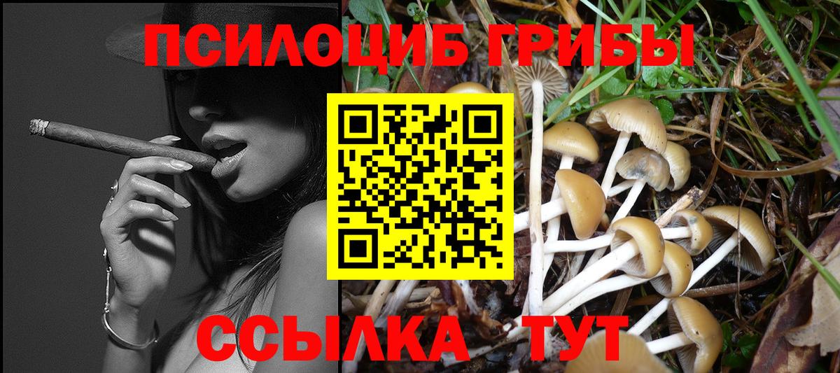 Псилоцибиновые грибы GOLDEN TEACHER  Вход с VPN  Псилоцибиновые грибы MAGIC MUSHROOMS  Знаменск 